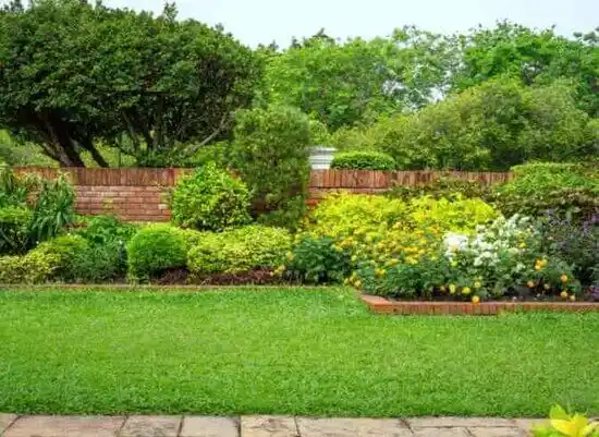 landscaping services Takoma Park